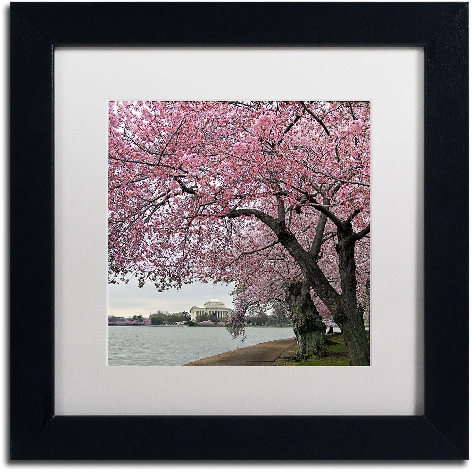 Trademark Fine Art "Tidal Basin Blossoms" Canvas Art by CATeyes, White Matte, Black Frame