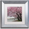 thumbnail image 1 of Trademark Fine Art "Tidal Basin Blossoms" Canvas Art by CATeyes, White Matte, Silver Frame, 1 of 4