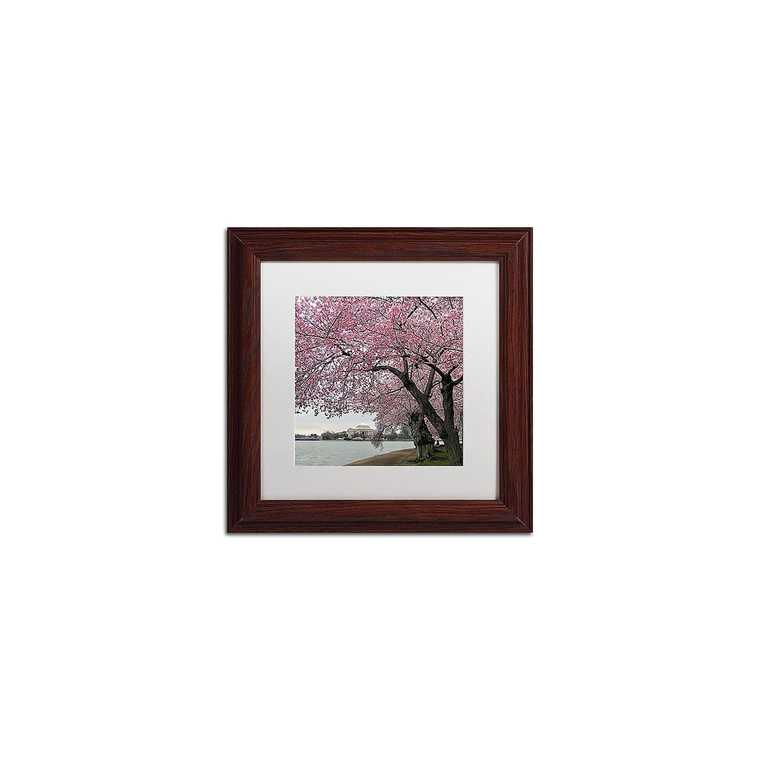 Trademark Fine Art "Tidal Basin Blossoms" Canvas Art by CATeyes, White Matte, Wood Frame