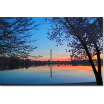 Trademark Fine Art "Tidal Basin Dawn" Canvas Art by CATeyes