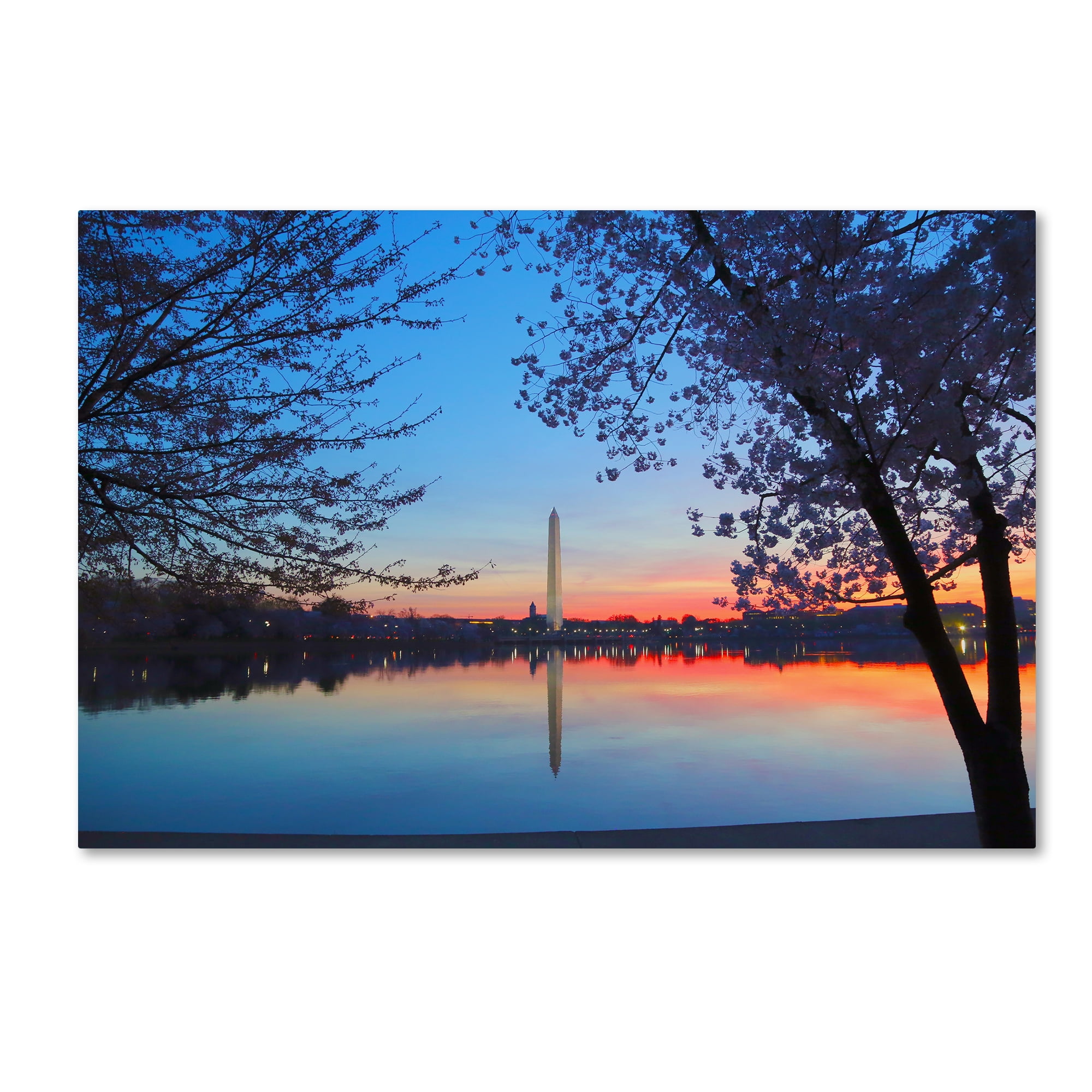 Trademark Fine Art "Tidal Basin Dawn" Canvas Art by CATeyes