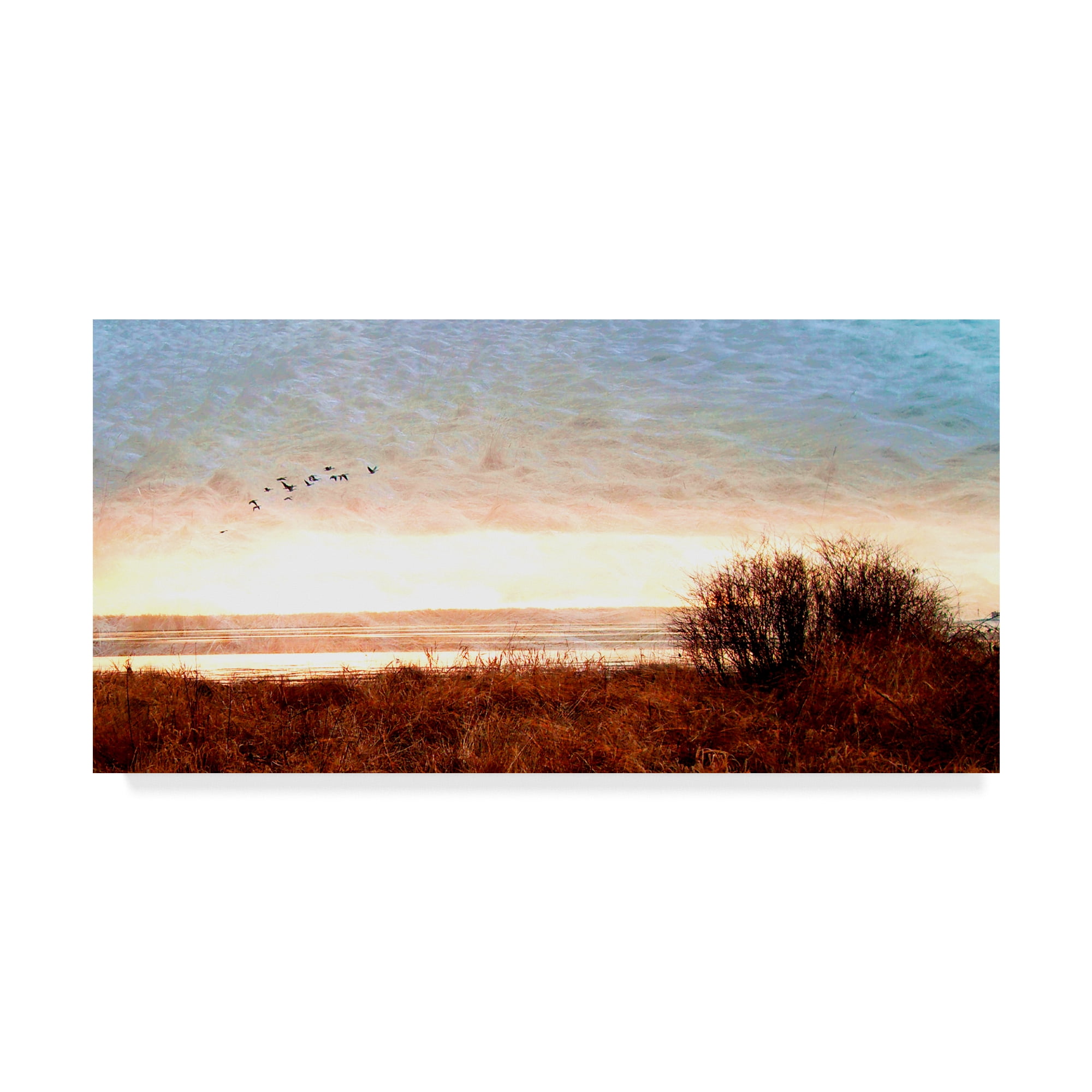Trademark Fine Art 'Tide I' Canvas Art by Danielle Harrington