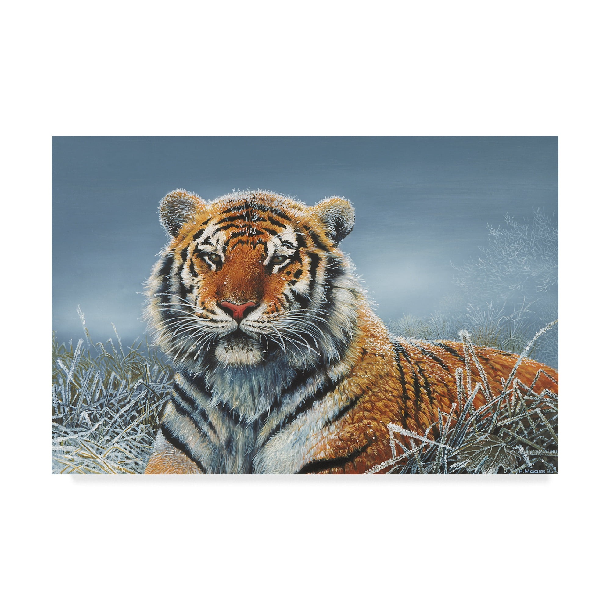 Trademark Fine Art 'Tiger In Snow' Canvas Art by Harro Maass