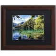 thumbnail image 1 of Trademark Fine Art "Tiger Lake" Canvas Art by Philippe Hugonnard, Black Matte, Wood Frame, 1 of 1