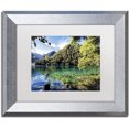 thumbnail image 1 of Trademark Fine Art "Tiger Lake" Canvas Art by Philippe Hugonnard, White Matte, Silver Frame, 1 of 4