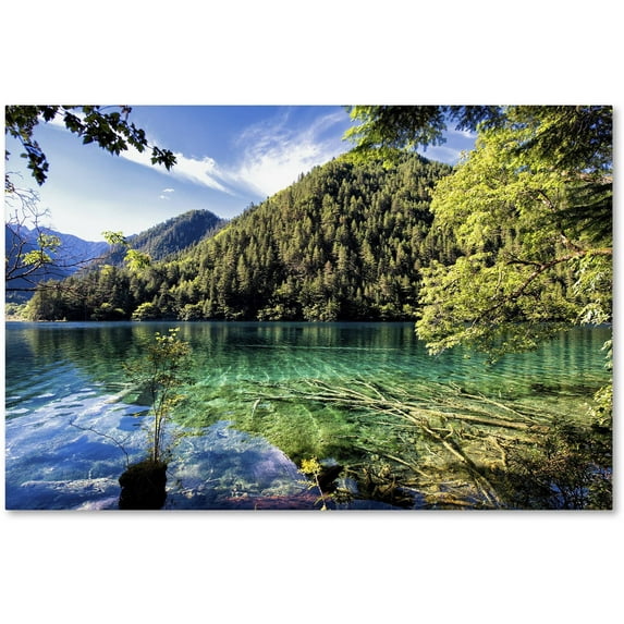 Trademark Fine Art "Tiger Lake" Canvas Art by Philippe Hugonnard