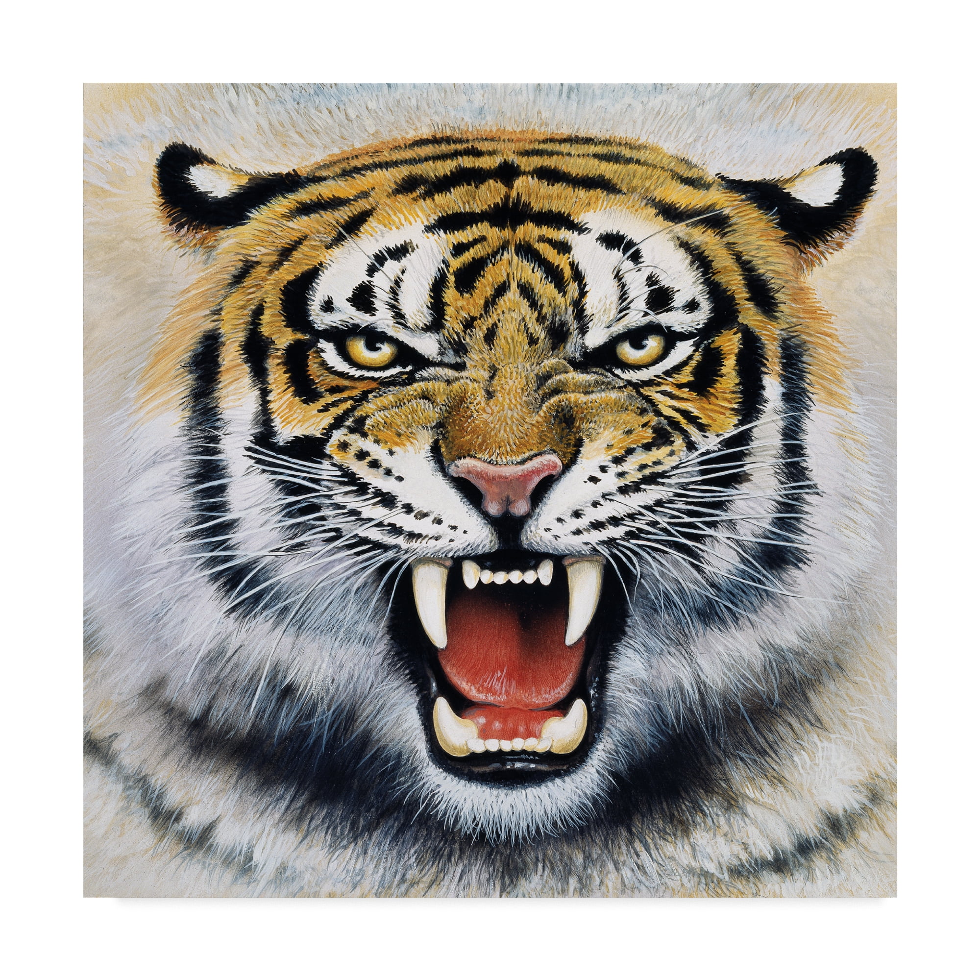Trademark Fine Art 'Tiger Portrait 2' Canvas Art by Harro Maass