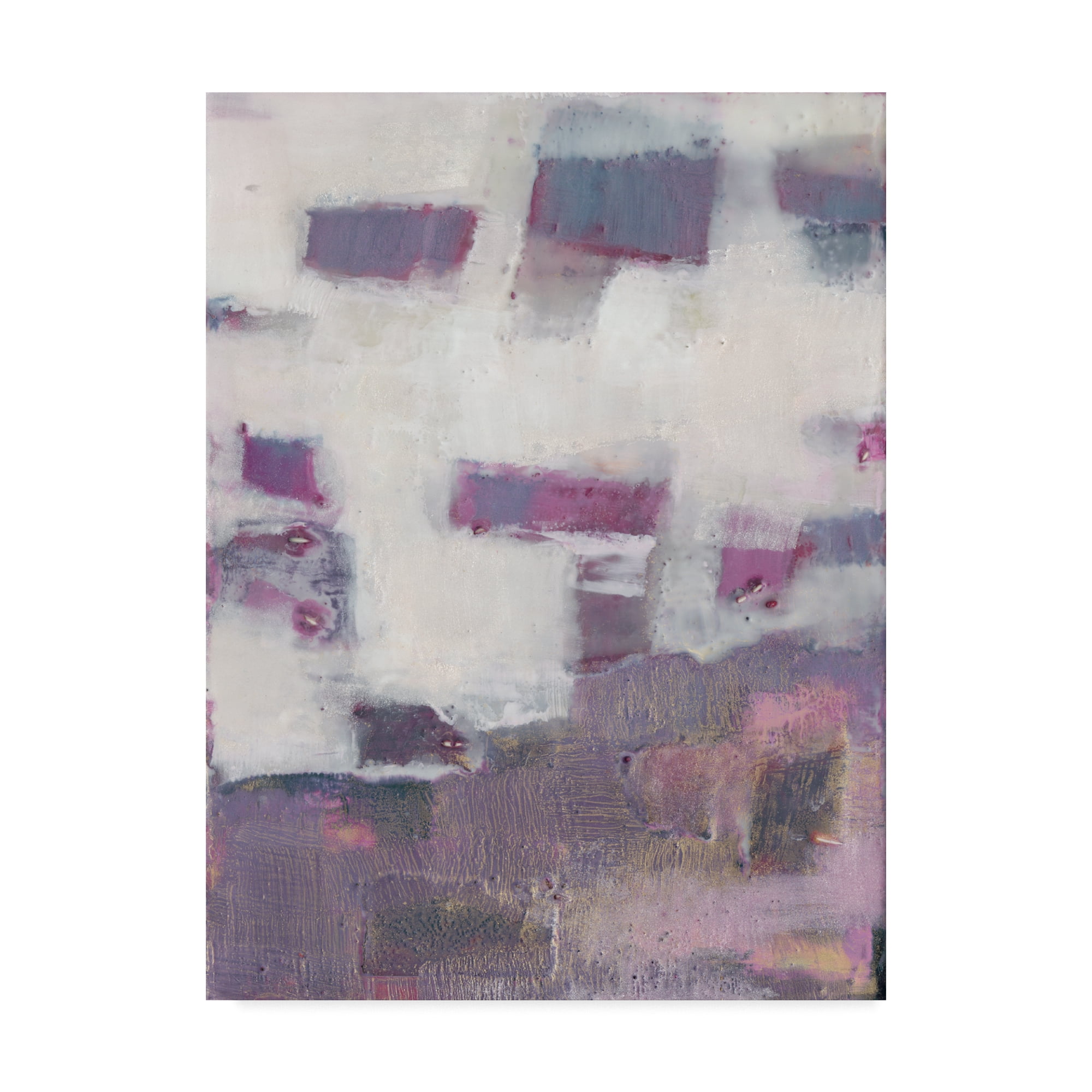 Trademark Fine Art 'Tilde VI' Canvas Art by Sue Jachimiec