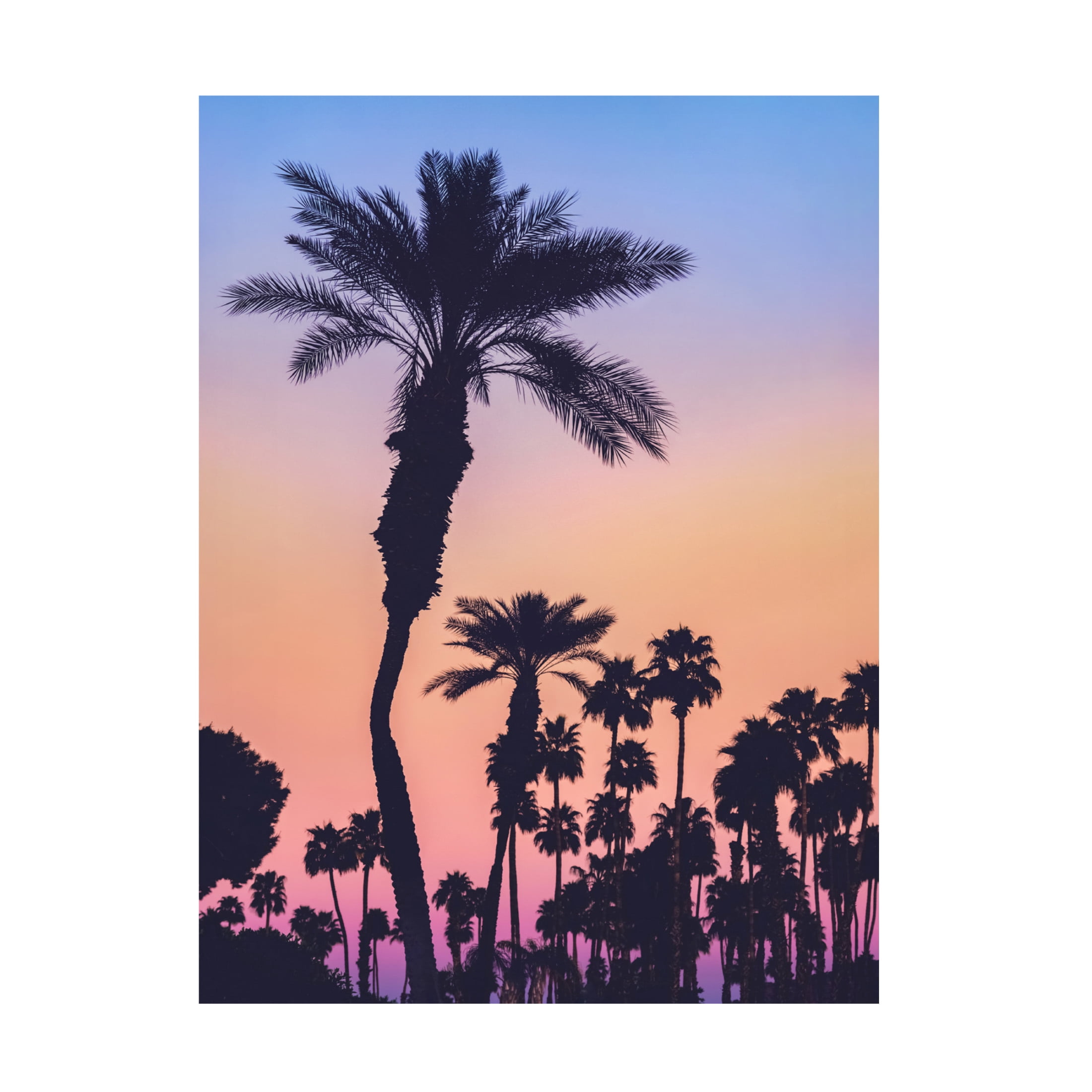 Trademark Fine Art Tim Mossholder Palms At Sunset Canvas Wall Art