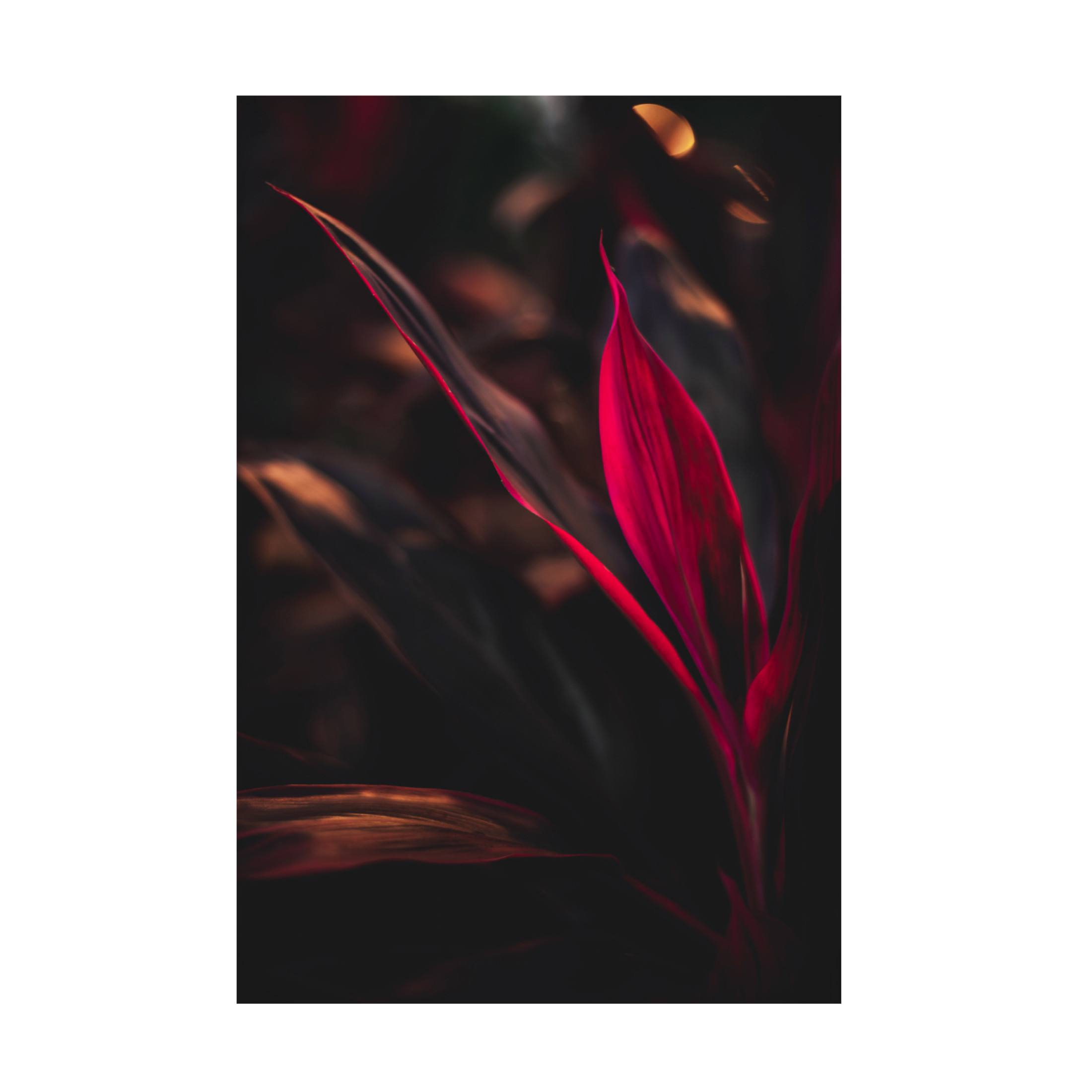 Trademark Fine Art Tim Mossholder Red Plan At Dusk Canvas Wall Art