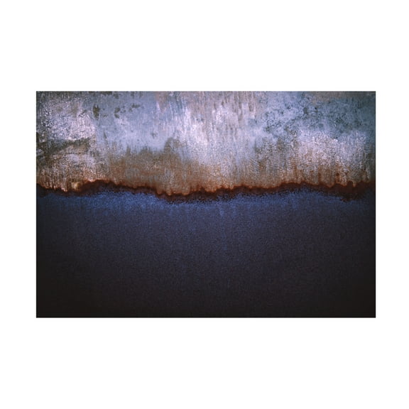 Trademark Fine Art Tim Mossholder Rusty Metal Canvas Wall Art