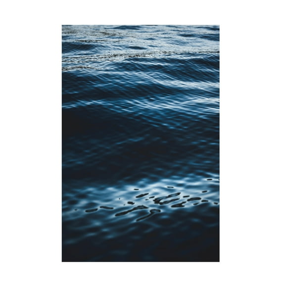 Trademark Fine Art Tim Mossholder Water Textures Canvas Wall Art