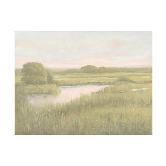 Trademark Fine Art Tim OToole Marsh Horizon at Dawn I Canvas Wall Art