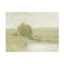 Trademark Fine Art Tim OToole Ochre Riverbank I Canvas Wall Art
