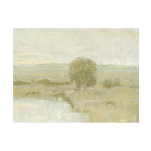 Trademark Fine Art Tim OToole  Ochre Riverbank II Canvas Wall Art