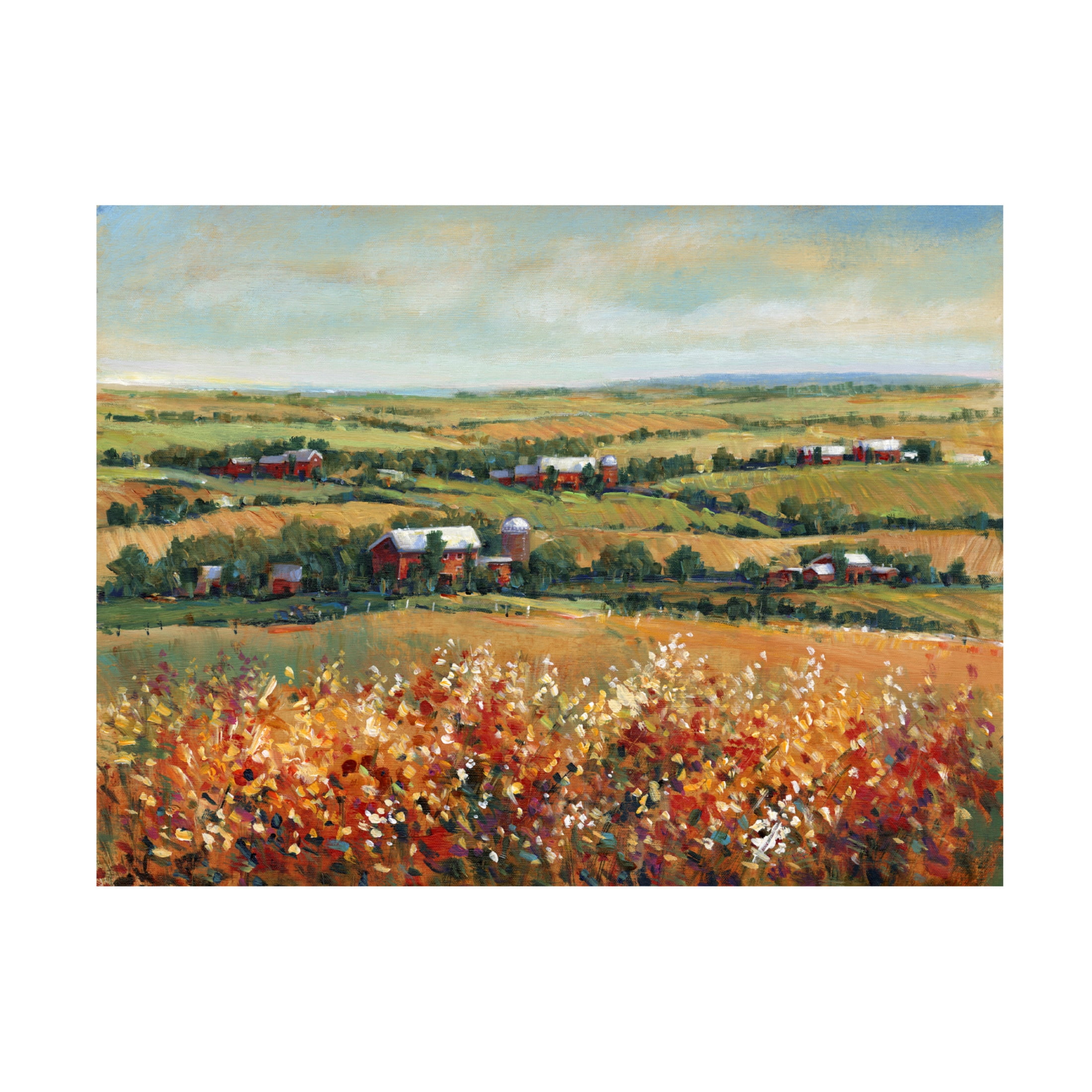 Trademark Fine Art Tim OToole  Rural Open Landscape I Canvas Wall Art