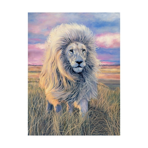 Trademark Fine Art 'Timbavati Messenger' Canvas Art by Jan Henderso