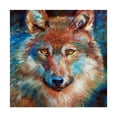 thumbnail image 1 of Trademark Fine Art 'Timber Wolf Abstract' Canvas Art by Marcia Baldwin, 1 of 3