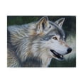 thumbnail image 1 of Trademark Fine Art 'Timber Wolf Dark' Canvas Art by Carla Kurt, 1 of 3