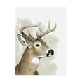 thumbnail image 1 of Trademark Fine Art 'Timberland Friend I' Canvas Art by Grace Popp, 1 of 3