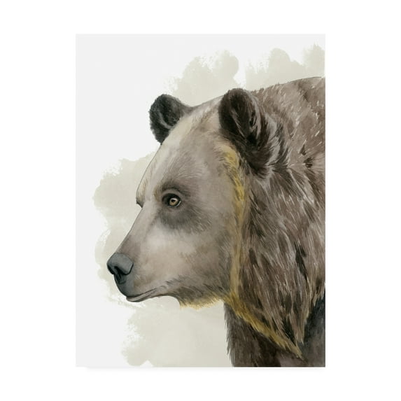 Trademark Fine Art 'Timberland Friend II' Canvas Art by Grace Popp