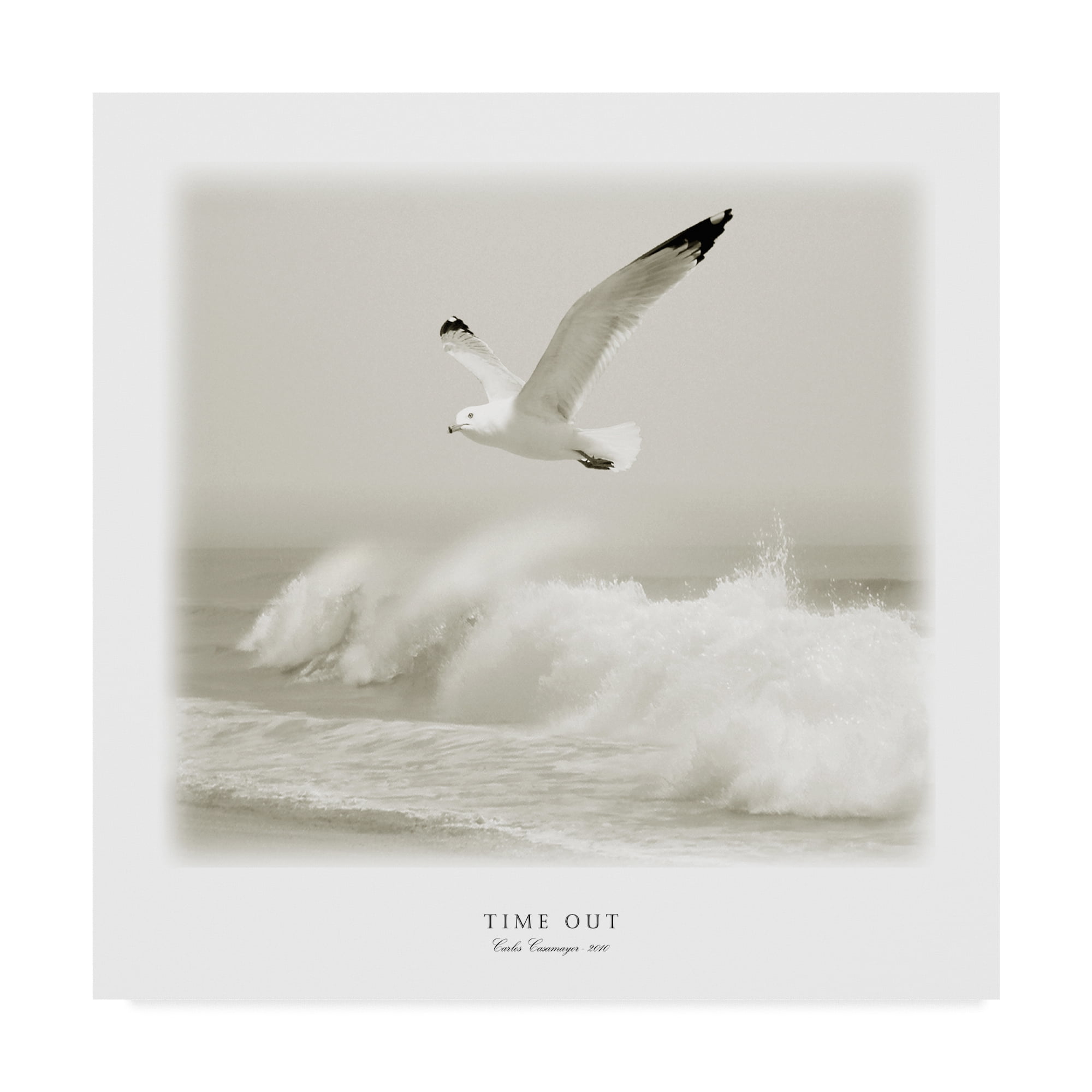 Trademark Fine Art 'Time Out 4' Canvas Art by Carlos Casamayor