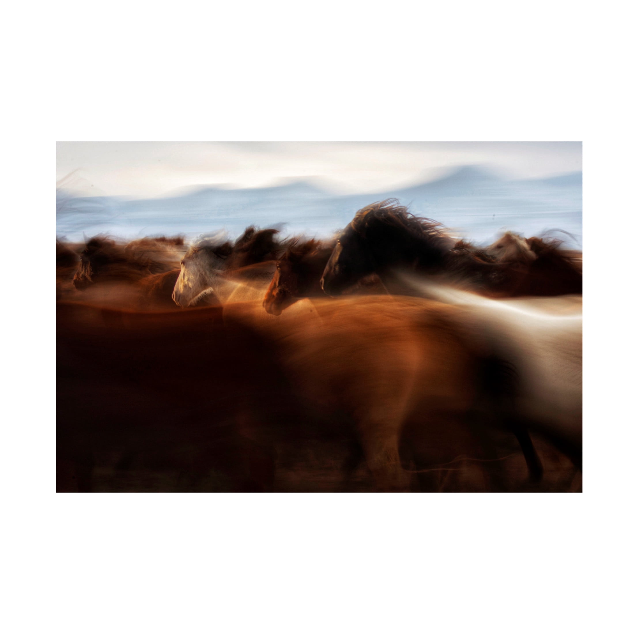 Trademark Fine Art Timur Turkmen The Spirit Of Freedom Canvas Wall Art