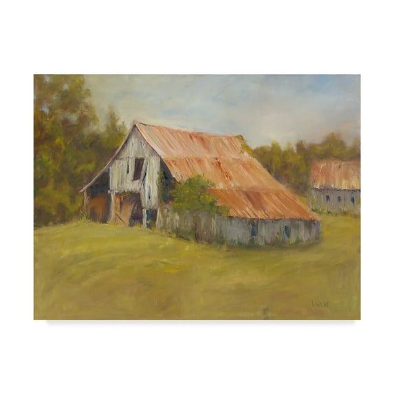 Trademark Fine Art 'Tin Roof' Canvas Art by Marilyn Wendling