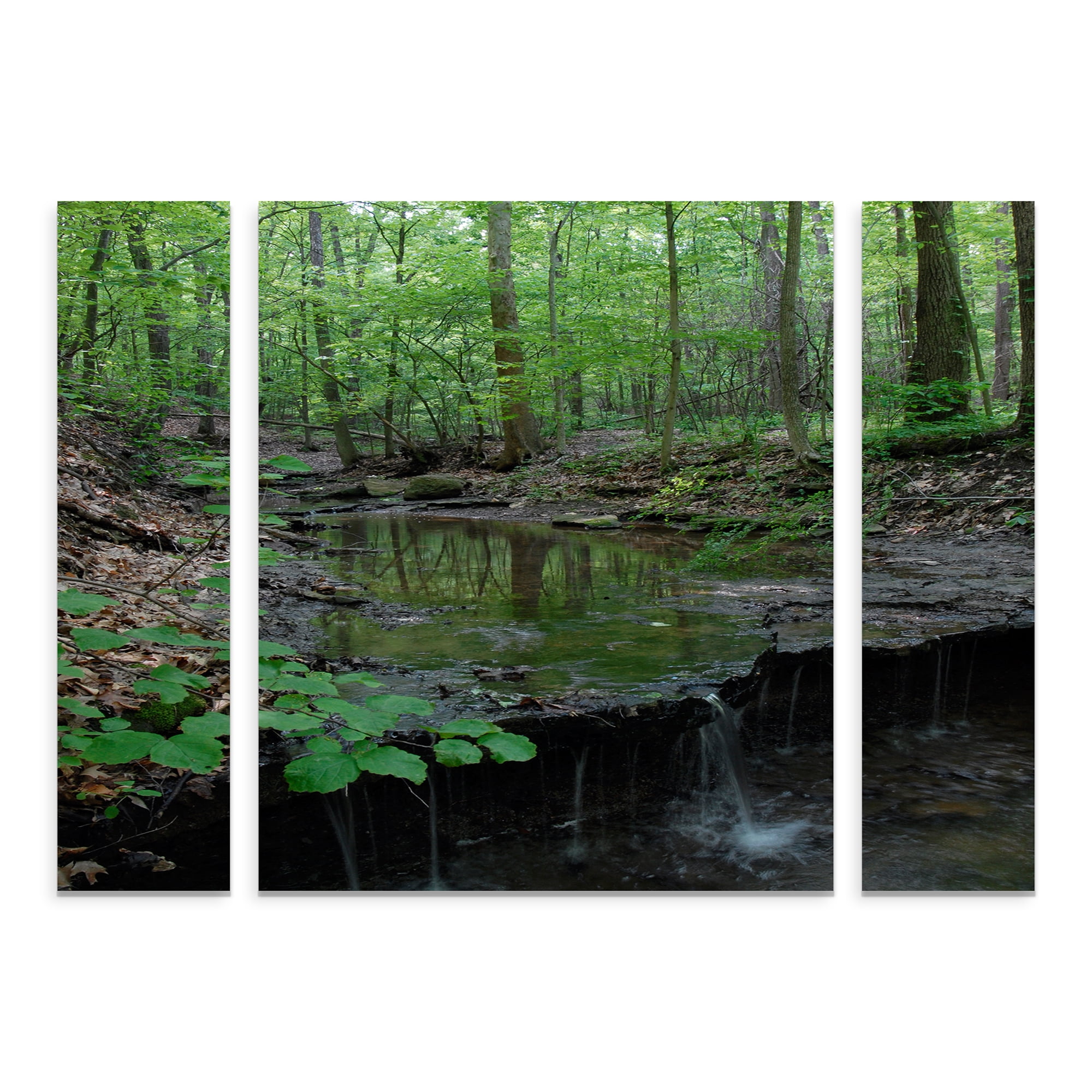 Trademark Fine Art 'Tiny Forest Falls' Canvas Art by Kurt Shaffer