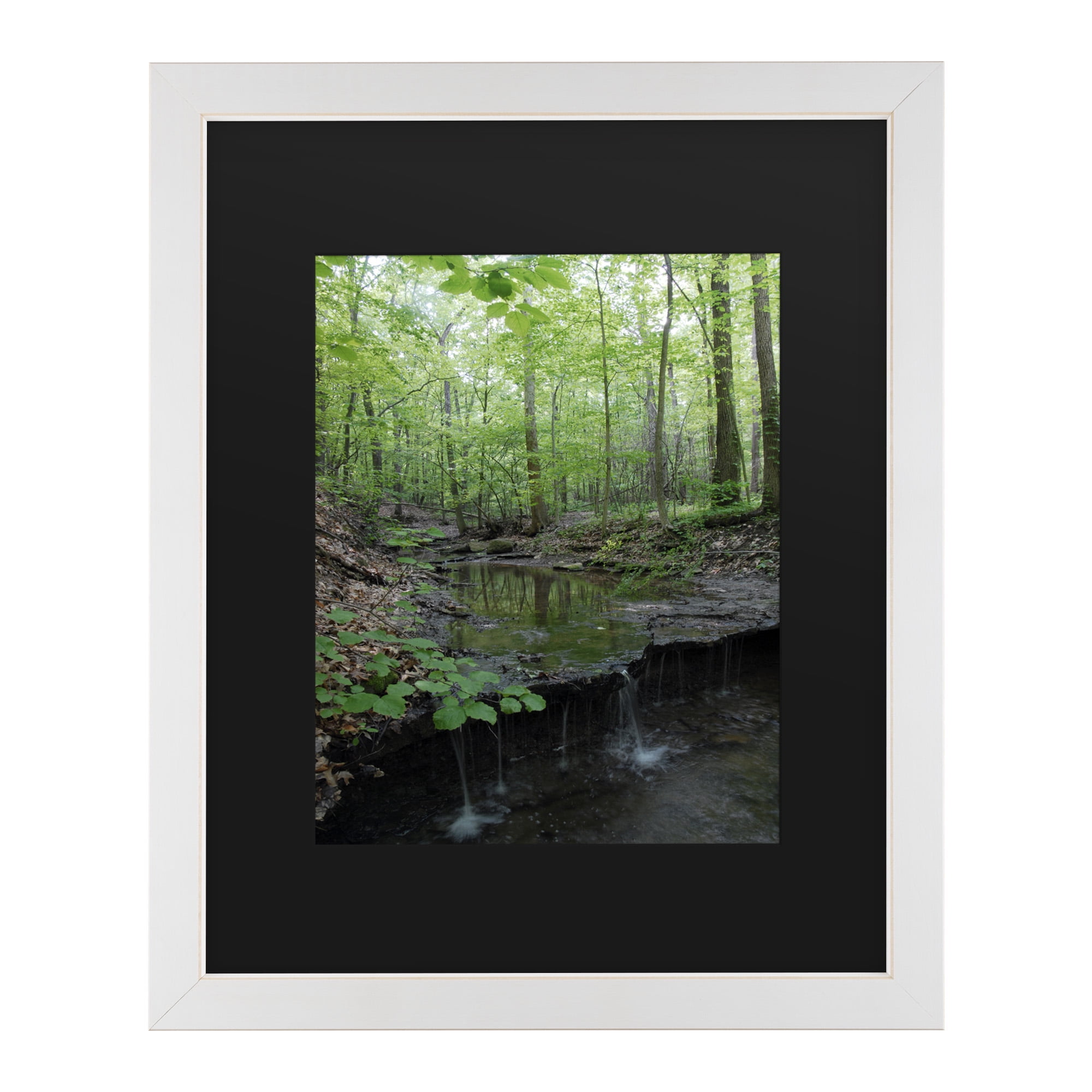 Trademark Fine Art 'Tiny Forest Falls' Canvas Art by Kurt Shaffer