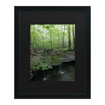 Trademark Fine Art 'Tiny Forest Falls' Canvas Art by Kurt Shaffer