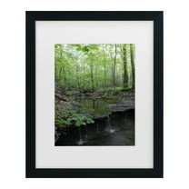 Trademark Fine Art 'Tiny Forest Falls' Canvas Art by Kurt Shaffer