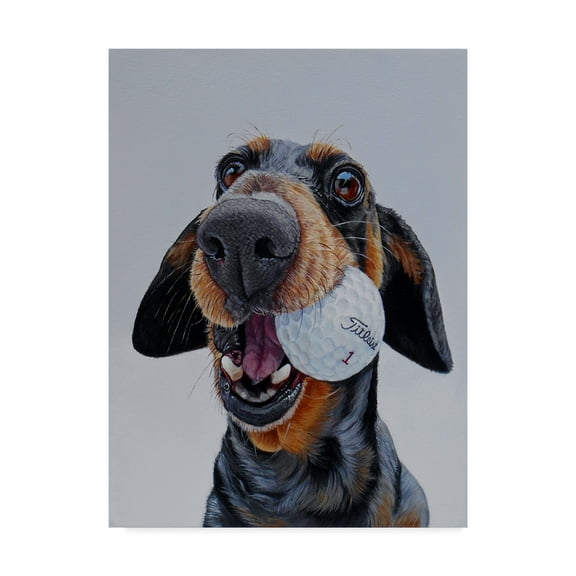 Trademark Fine Art 'Titleist 1' Canvas Art by James Ruby