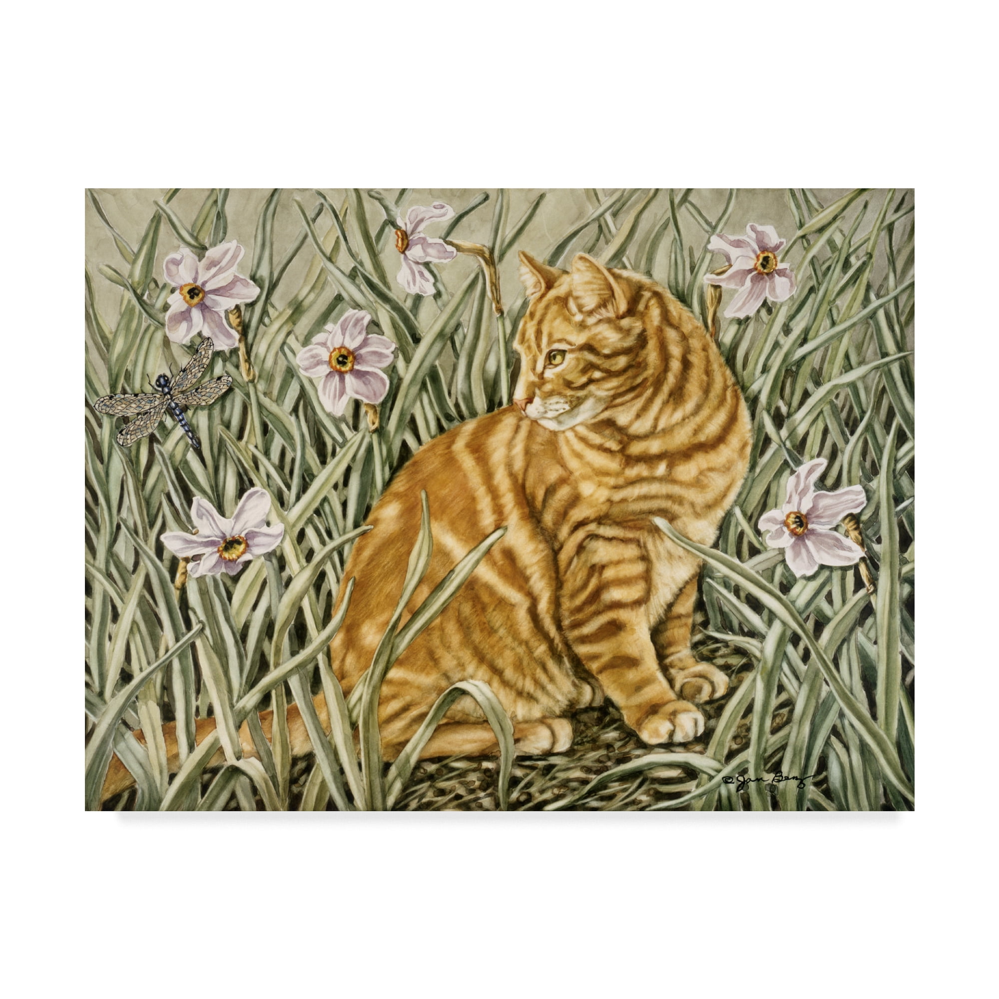 Trademark Fine Art 'To Catch A Dragonfly' Canvas Art by Jan Benz