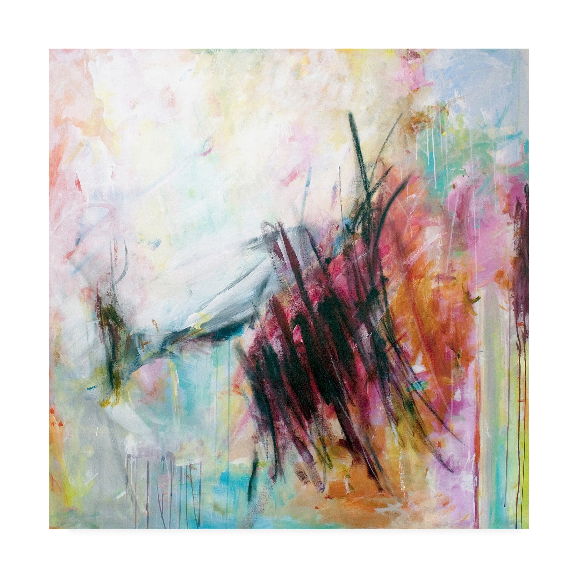 Trademark Fine Art 'To See' Canvas Art by Melissa McGil