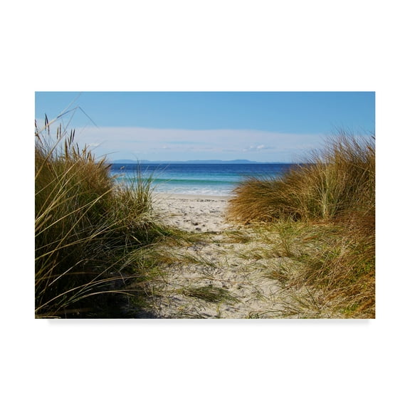 Trademark Fine Art 'To The Beach' Canvas Art by Incredi