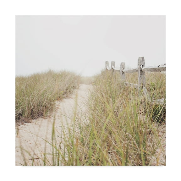 Trademark Fine Art 'To the Beach Path' Canvas Art by Laura Marshall