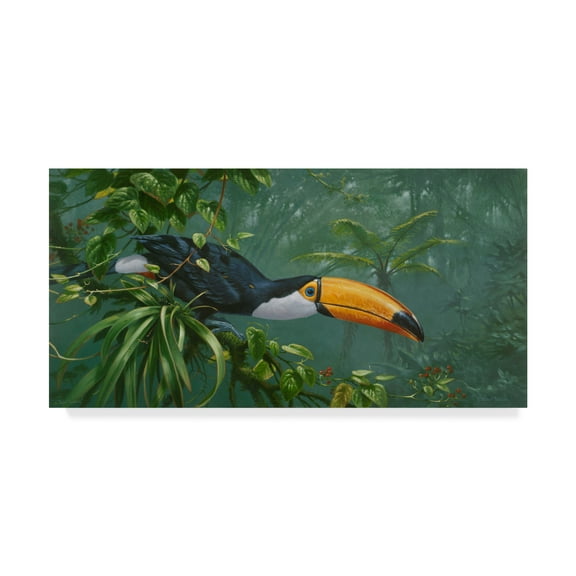 Trademark Fine Art 'Toco Toucan' Canvas Art by Michael Jackson