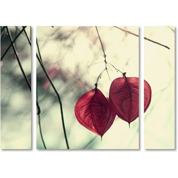 Trademark Fine Art "Together" Canvas Art by Beata Czyzowska Young Three Panel Set