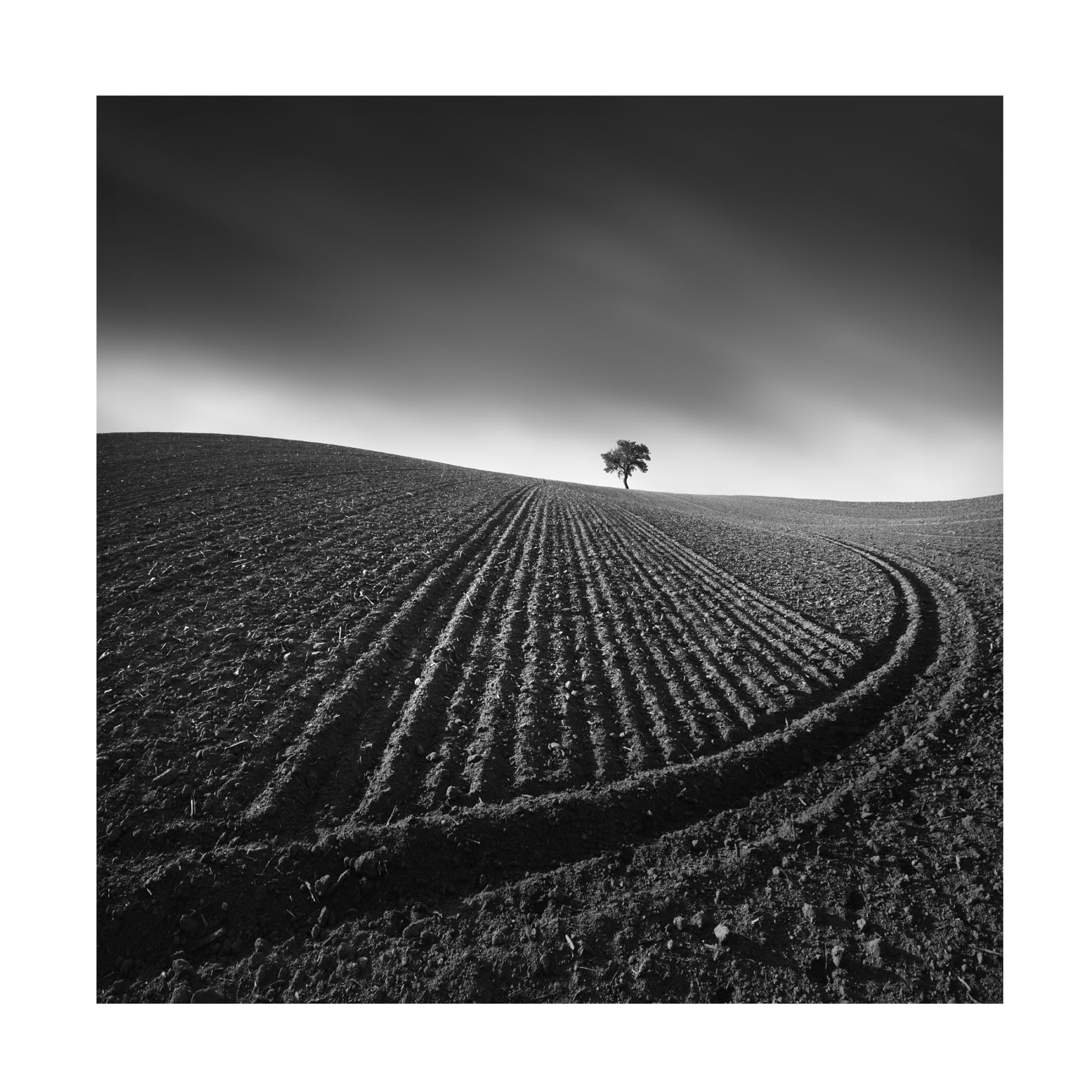 Trademark Fine Art Tomas Tison Radius Canvas Wall Art