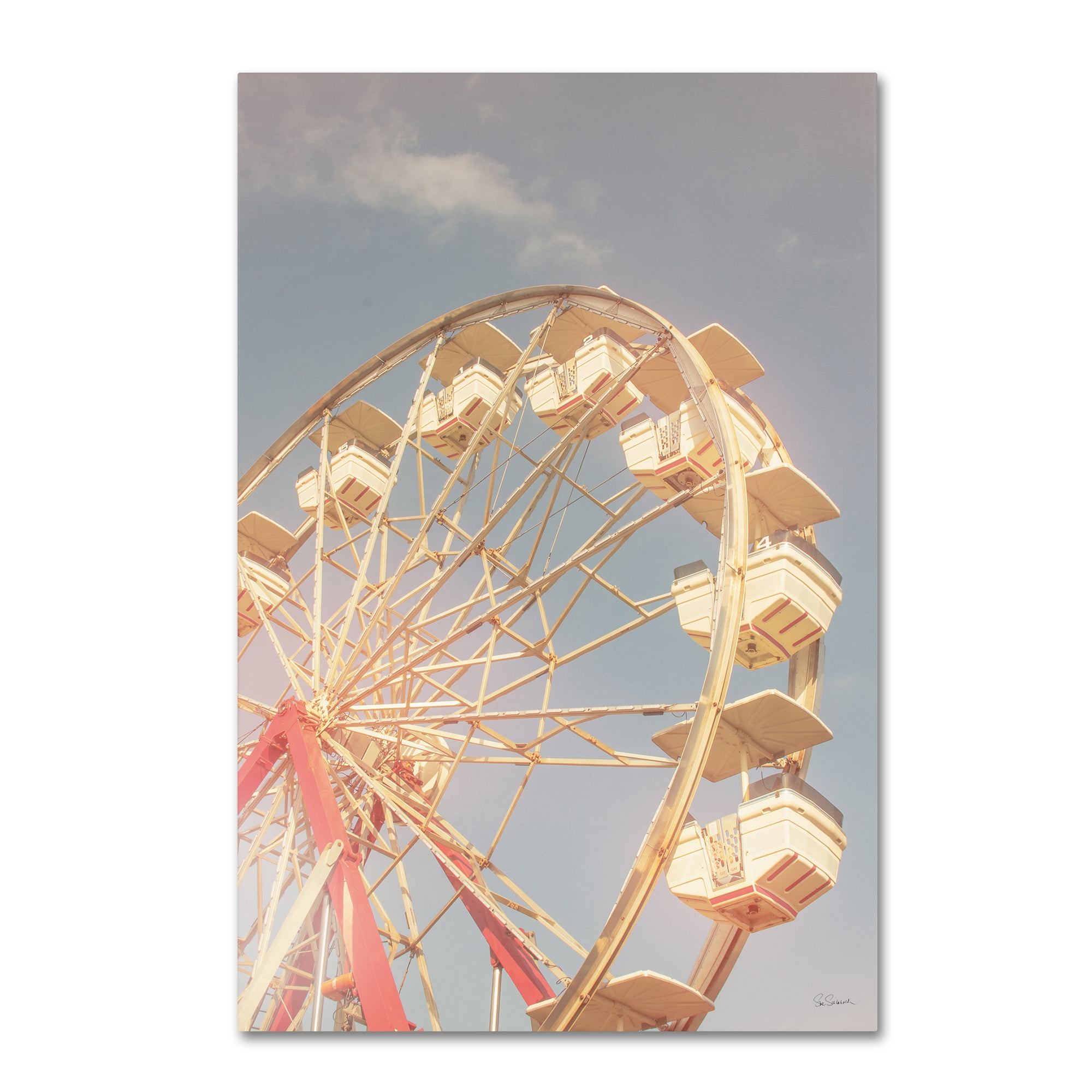 Trademark Fine Art 'Top of the Sky II' Canvas Art by Sue Schlabach