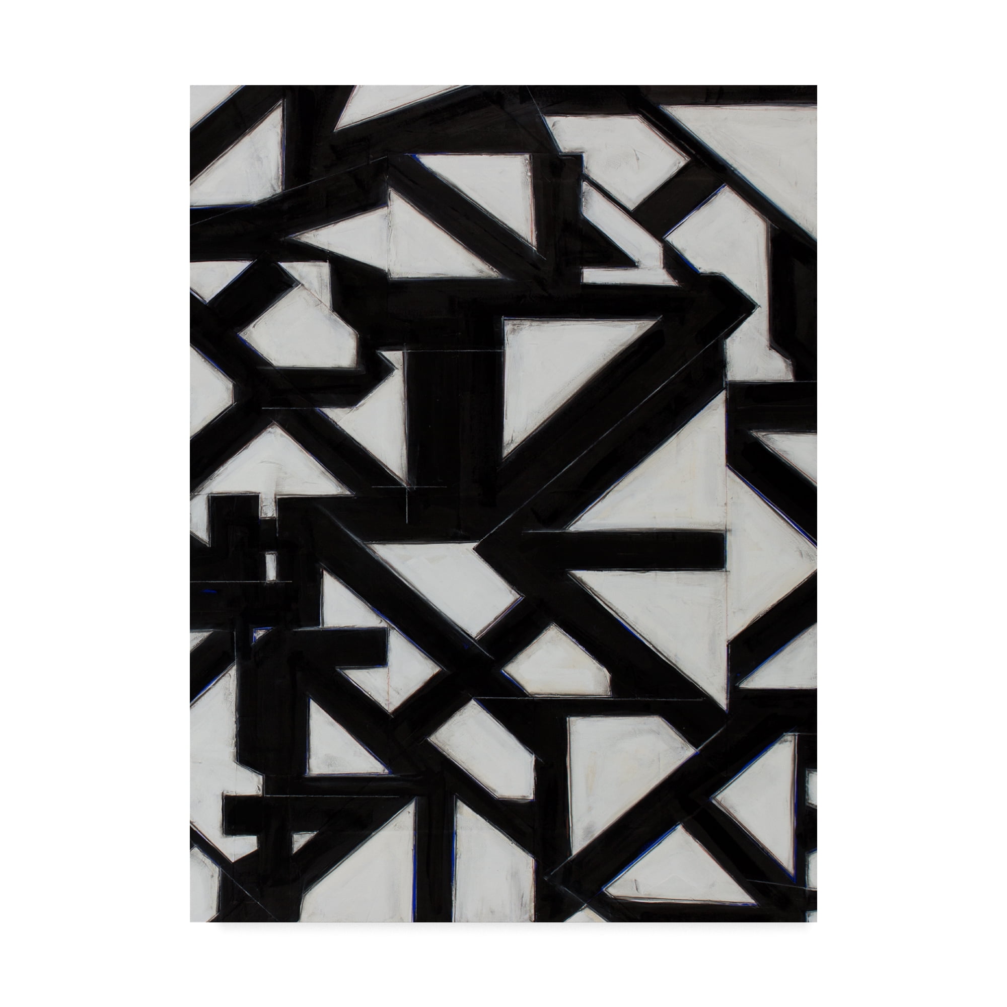 Trademark Fine Art 'Topographic I' Canvas Art by Rob Delamater