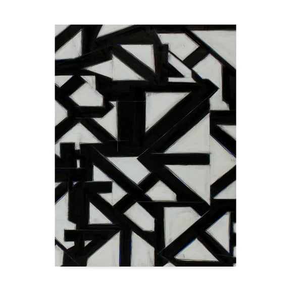 Trademark Fine Art 'Topographic I' Canvas Art by Rob Delamater