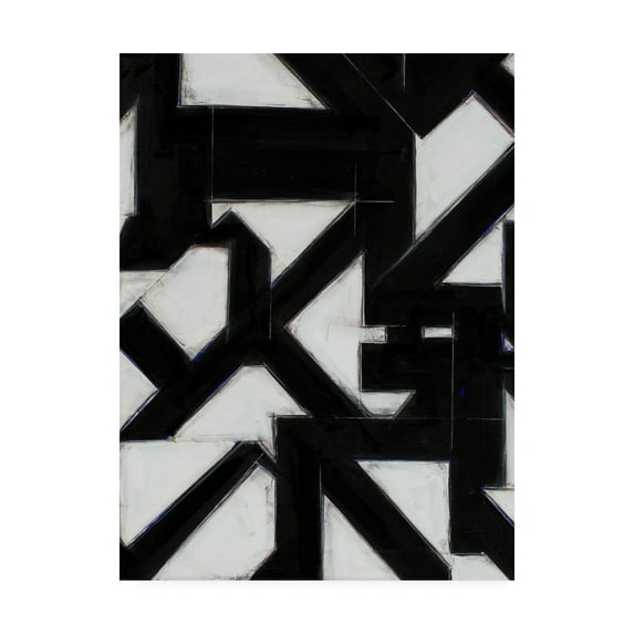 Trademark Fine Art 'Topographic III' Canvas Art by Rob Delamater