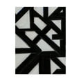 thumbnail image 1 of Trademark Fine Art 'Topographic IV' Canvas Art by Rob Delamater, 1 of 4