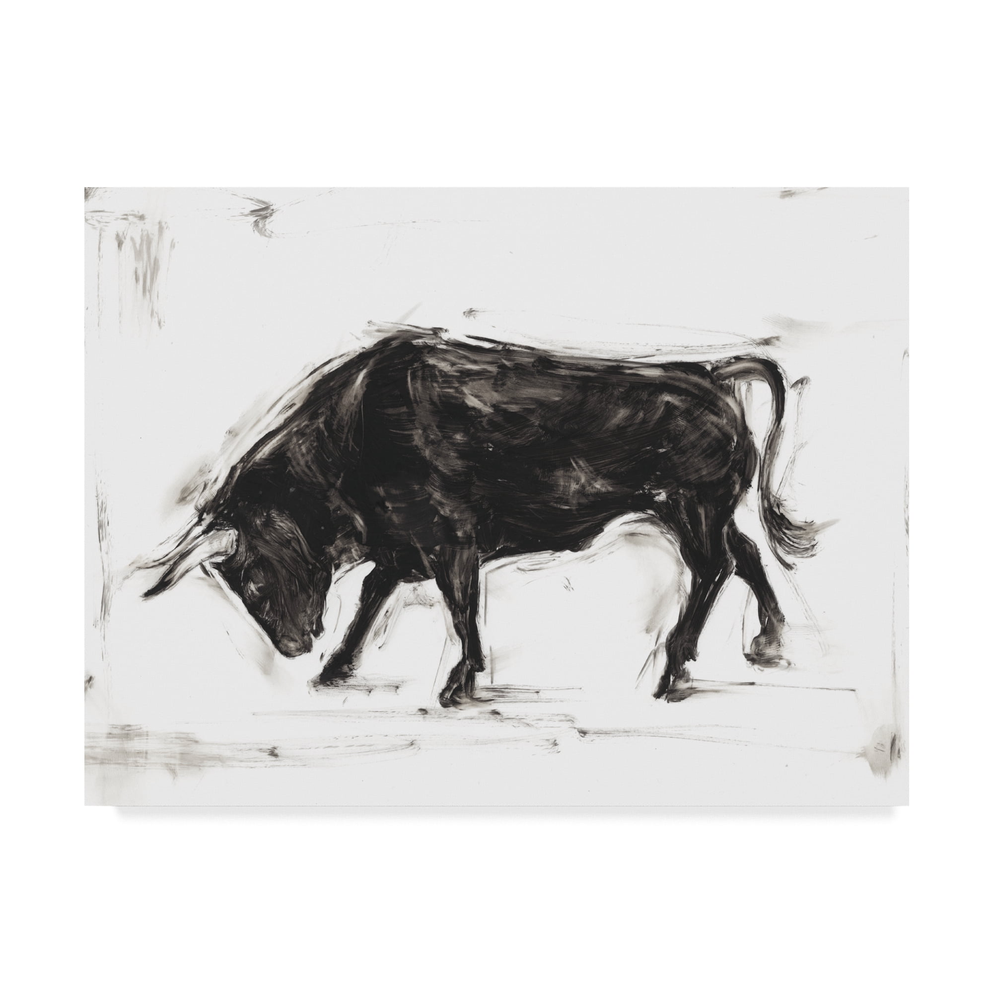 Trademark Fine Art 'Toro I' Canvas Art by Ethan Harper