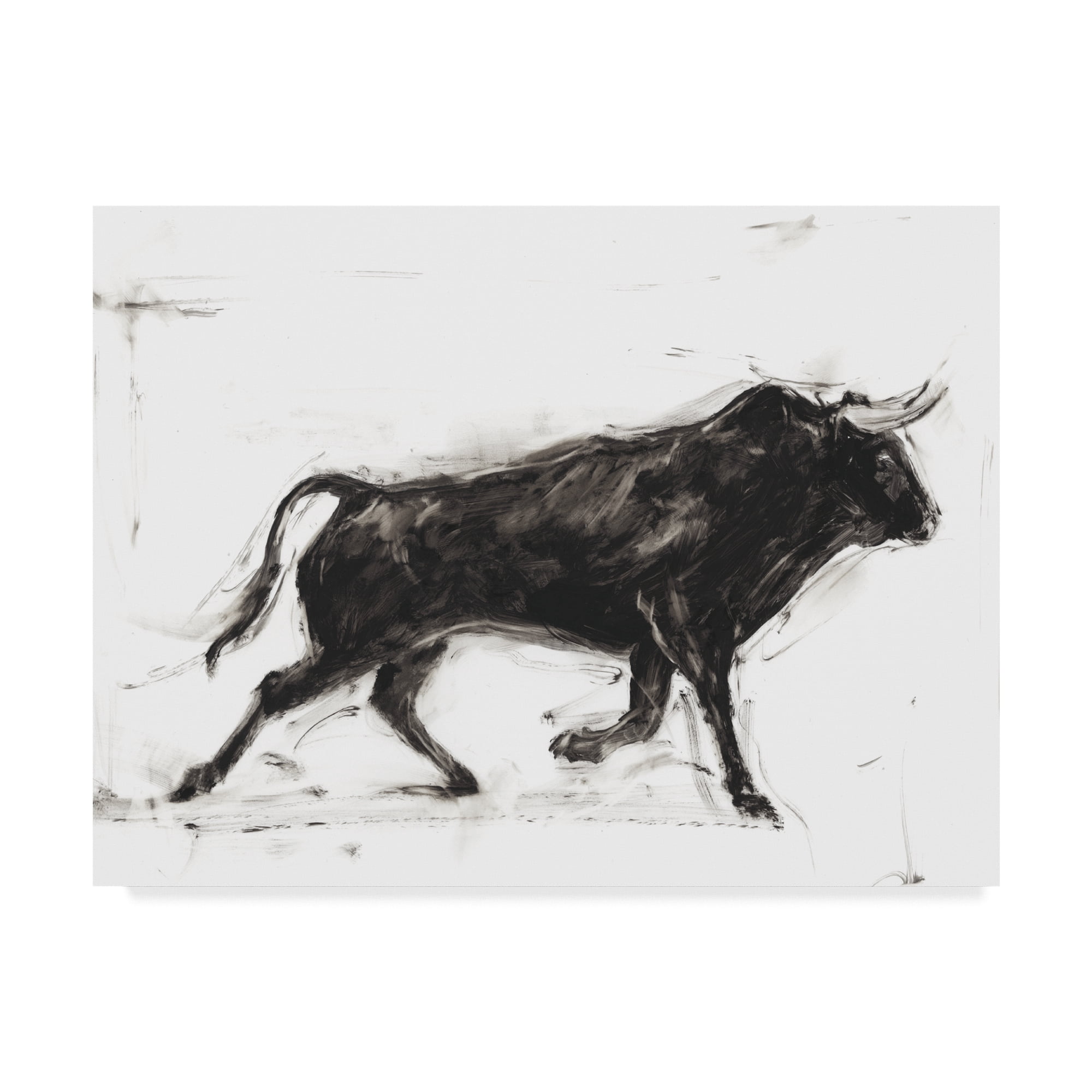 Trademark Fine Art 'Toro II' Canvas Art by Ethan Harper
