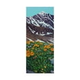 thumbnail image 1 of Trademark Fine Art 'Torreys Peak in Spring' Canvas Art by James W. Johnson, 1 of 3