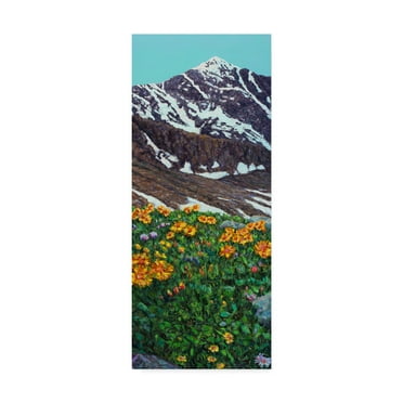 Trademark Fine Art 'Torreys Peak in Spring' Canvas Art by James W. Johnson