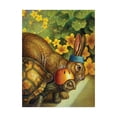 thumbnail image 1 of Trademark Fine Art 'Tortoise And Hare' Canvas Art by Dan Craig, 1 of 3